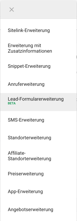 Lead Formular Anzeigenerweiterung Beta in Google Ads